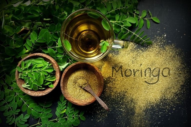 HOW TO PREPARE MORINGA TEA AT HOME
